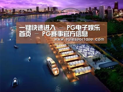 案例展示八