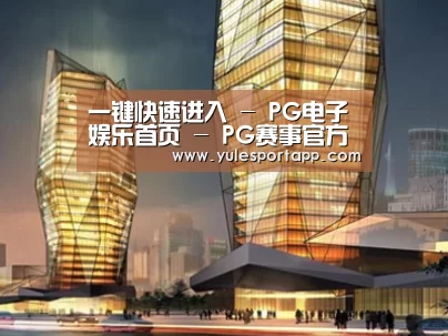 案例展示三