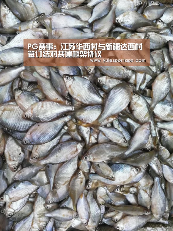 PG赛事:江苏华西村与新疆达西村签订结对共建框架协议(图2) PG娱乐