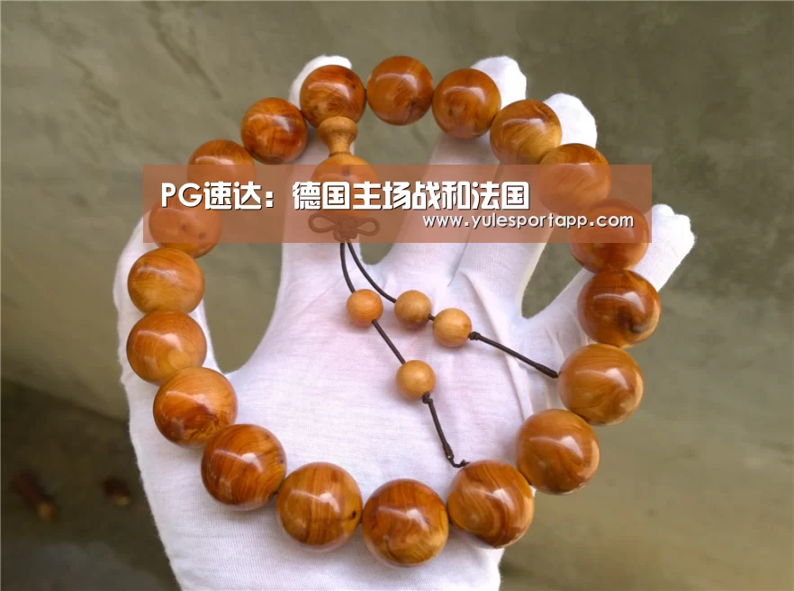 PG娱乐
