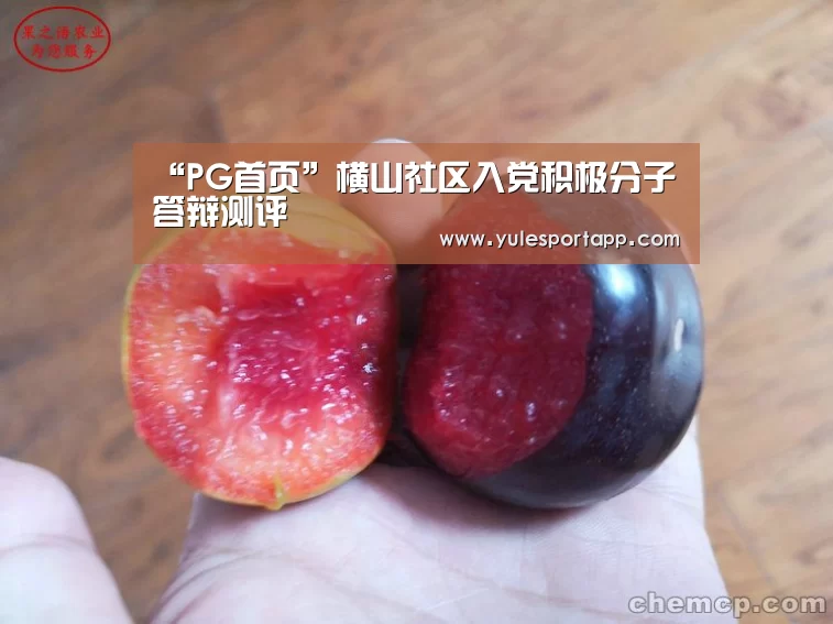 PG赛事