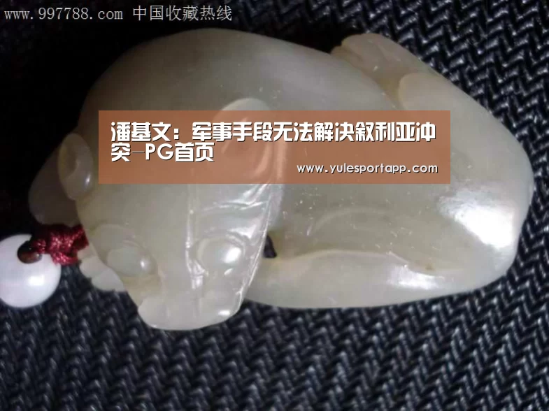 潘基文:军事手段无法解决叙利亚冲突-PG首页(图2) PG首页