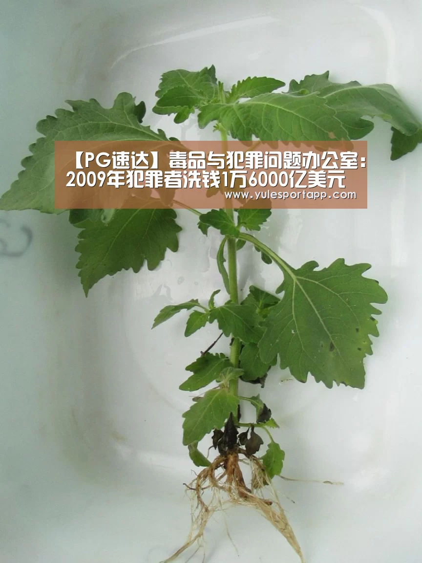 PG速达