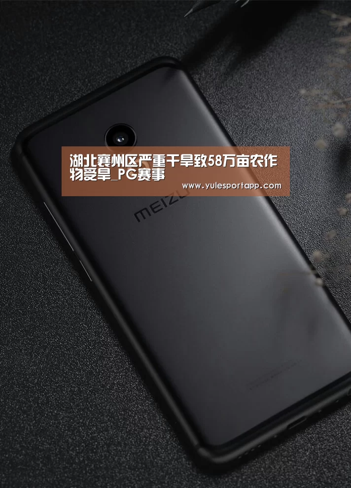 湖北襄州区严重干旱致58万亩农作物受旱_PG赛事(图4) PG赛事