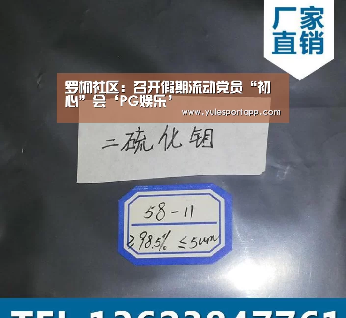 罗桐社区:召开假期流动党员“初心”会‘PG娱乐’(图1) PG赛事