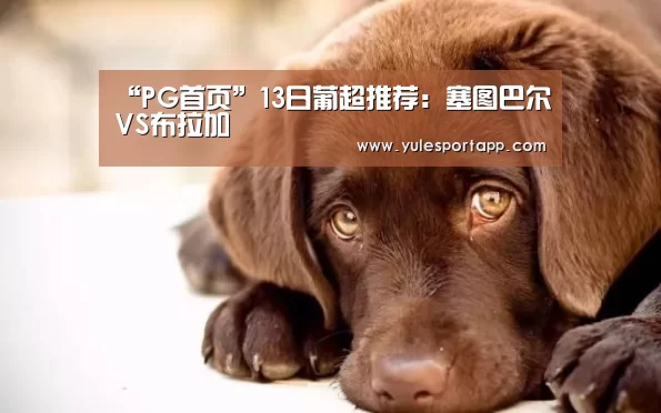 “PG首页”13日葡超推荐:塞图巴尔VS布拉加(图1) PG速达